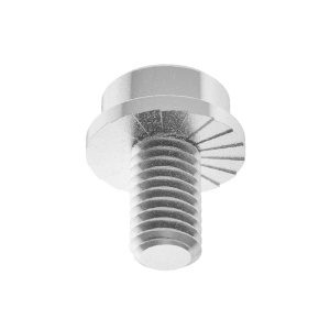 Serrated-Flange Socket Head Screw M6 x 1 mm Thread Size, 10mm Long图3